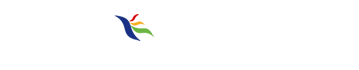 菜鳥先飛